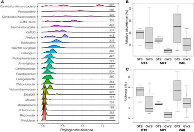 The role of phages for microdiverse bacterial communities in proglacial stream biofilms